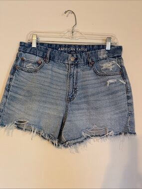 American Eagle Outfitters Light Blue Distressed Denim Cutoff Shorts